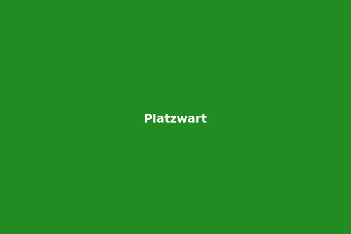 Platzwart